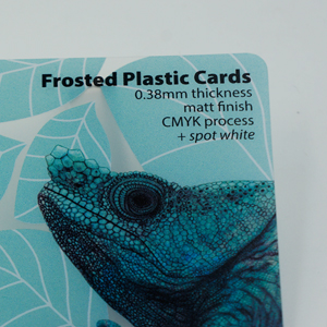 Plastic Cards - 0.38mm Frosted