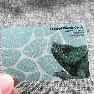 Plastic Cards - 0.38mm Frosted